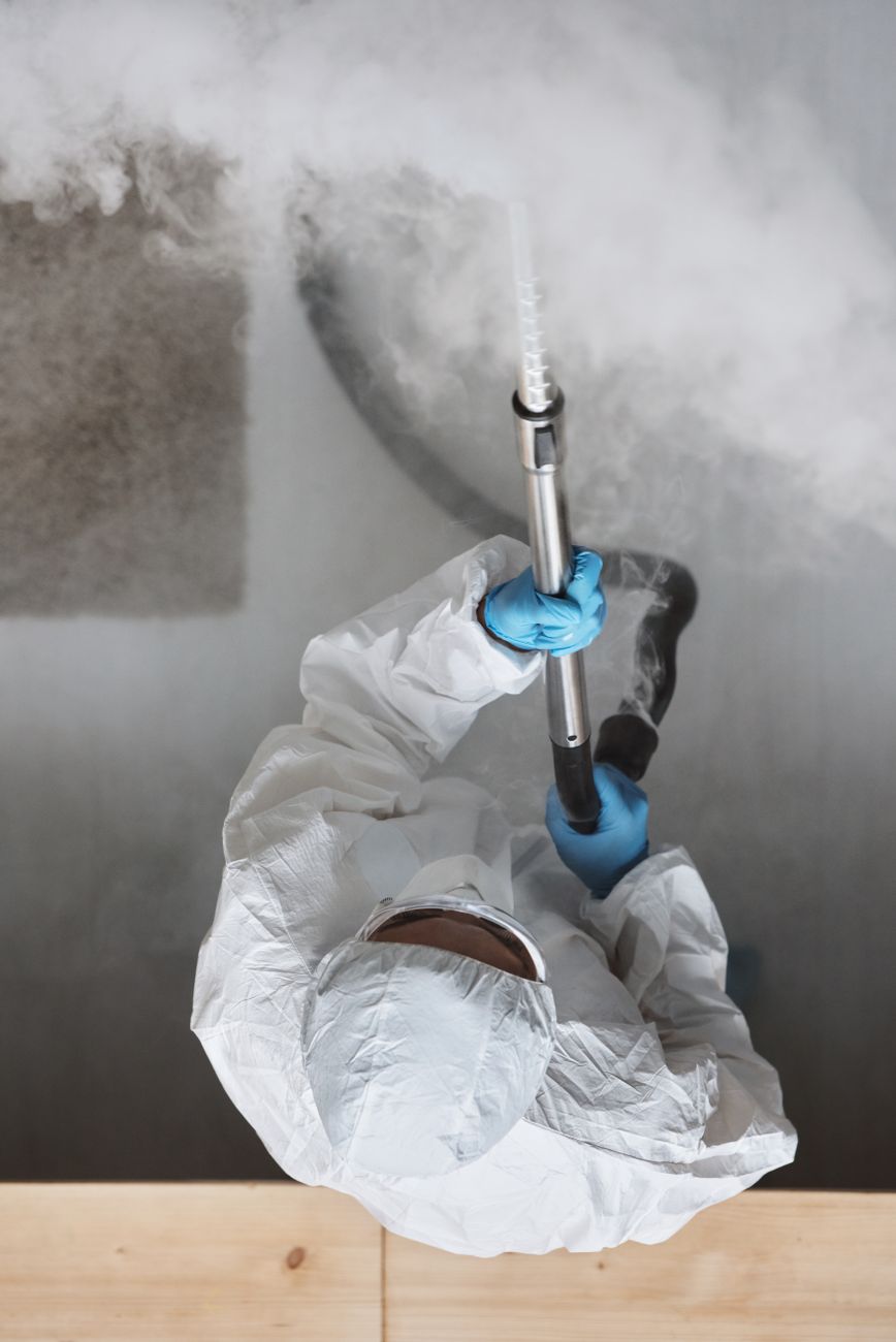 Upholstery and sofa cleaning